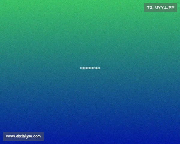 北美赛事—北美赛区s赛成绩