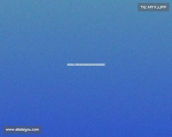 洛阳武术馆,洛阳武术赛事璀璨开幕各路英豪齐聚竞技展雄风