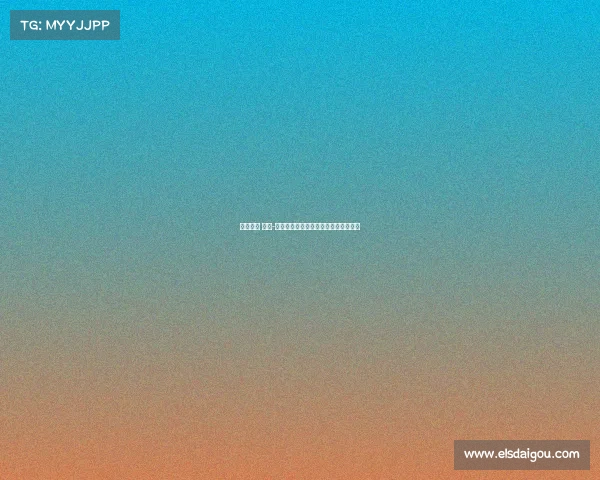 焦点赛事 规则-焦点赛事规则核心要点精要解析与解读