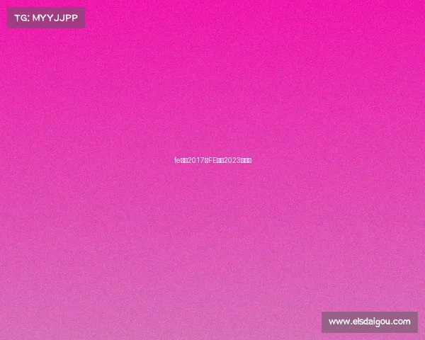 fe赛事2017—FE赛事2023年财报